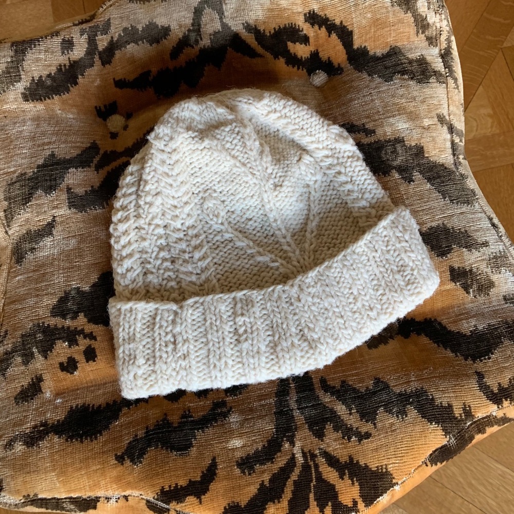 Winter Hat - image 1